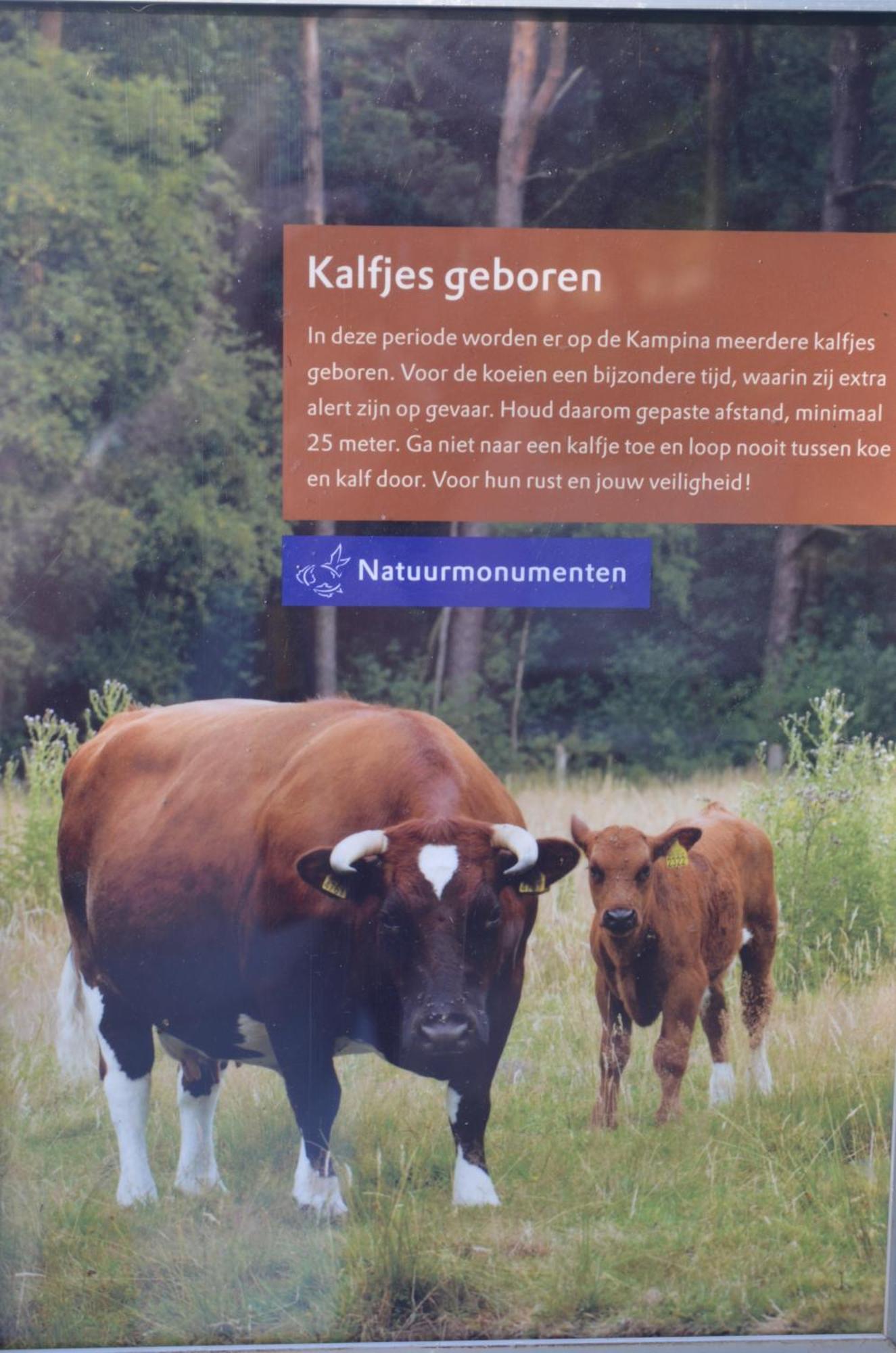 Erfgoed & Logies Den Heijkant Moergestel Camera foto