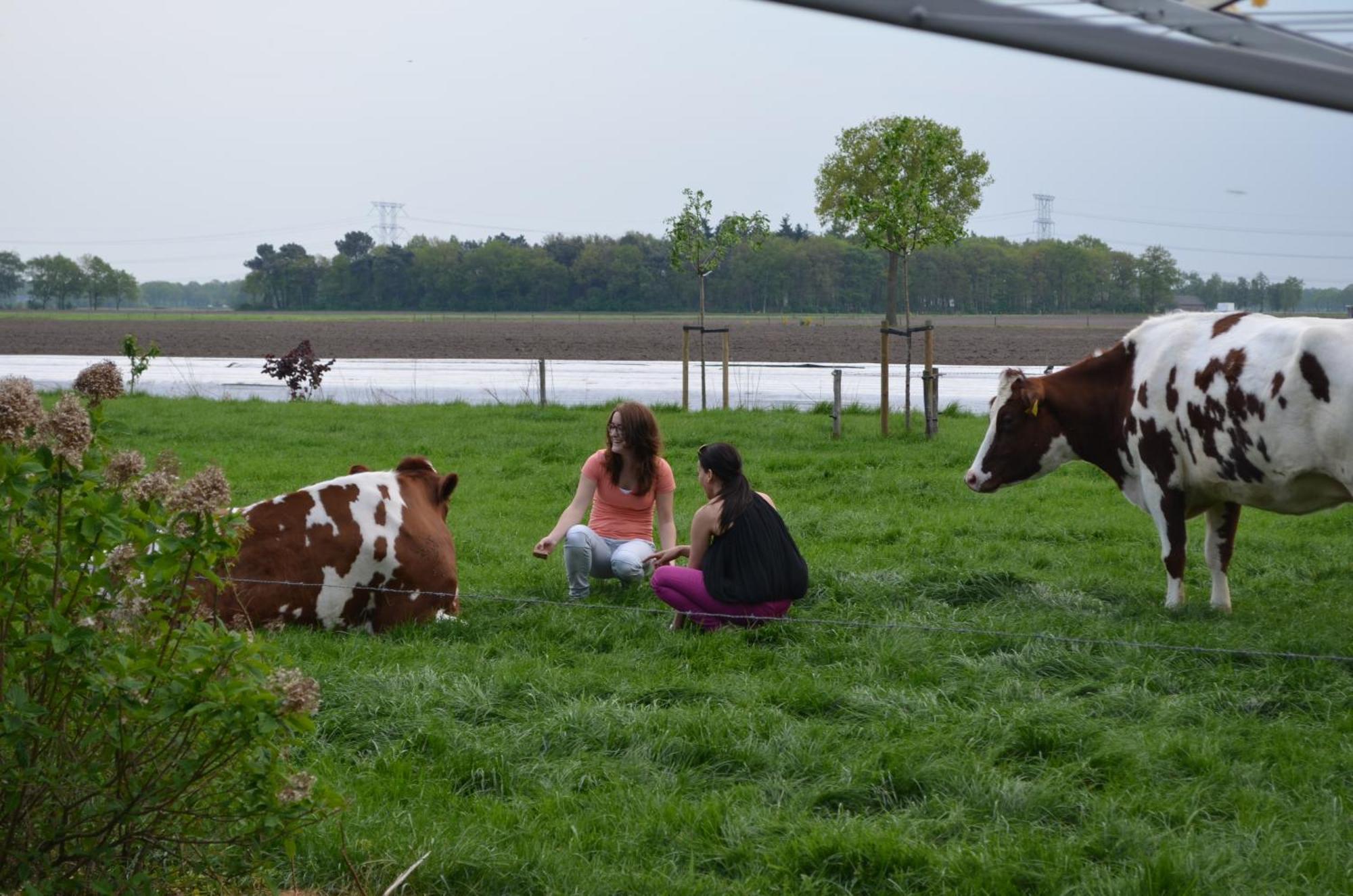 Erfgoed & Logies Den Heijkant Moergestel Camera foto